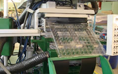 Automatic blister forming machines